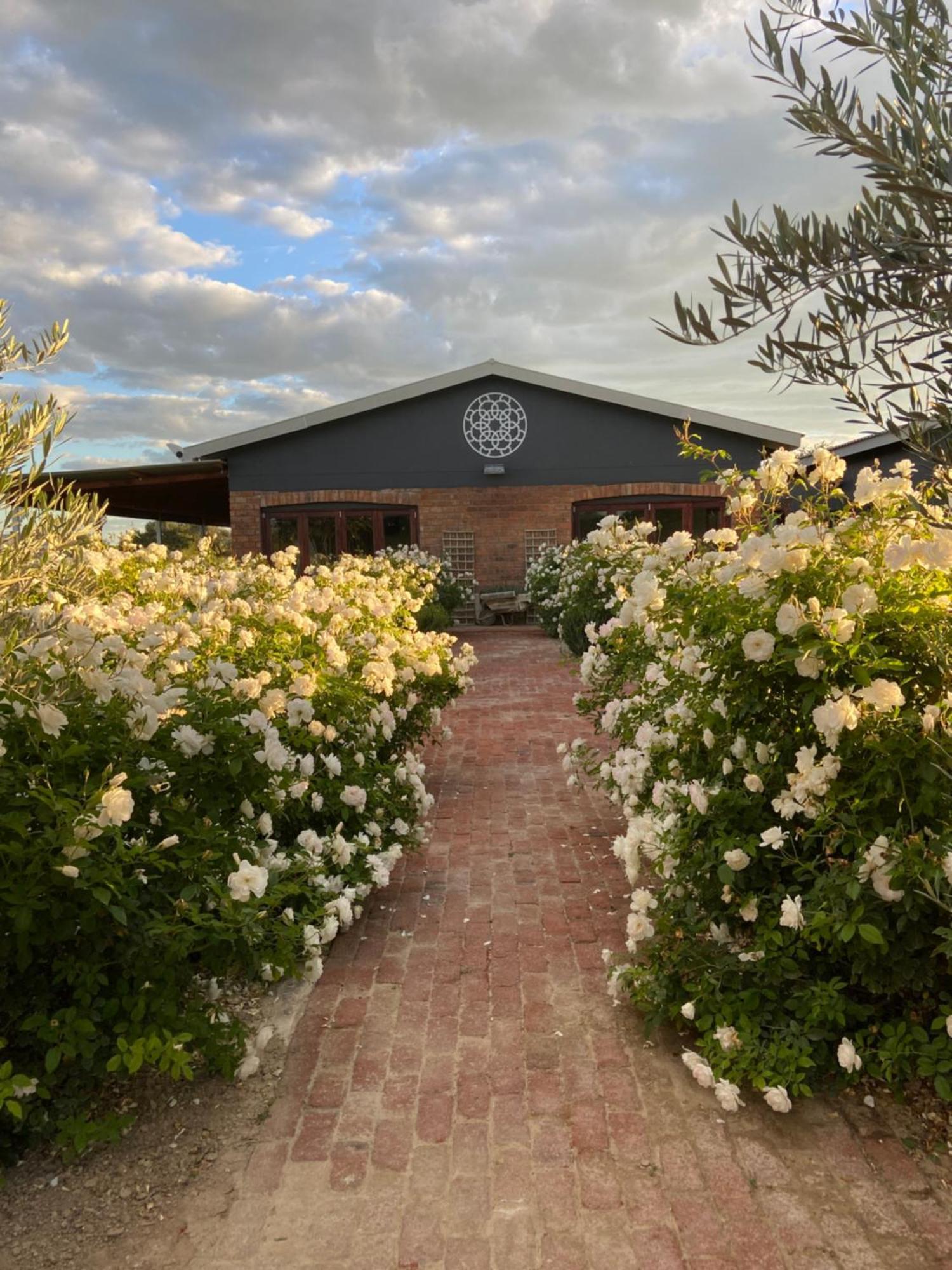 Out Of Nature Country Lodge ويندهوك المظهر الخارجي الصورة